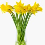 Samen bloemschikken op 17 maart